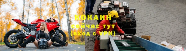 экстази Бородино