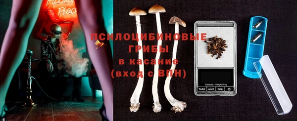 экстази Бородино