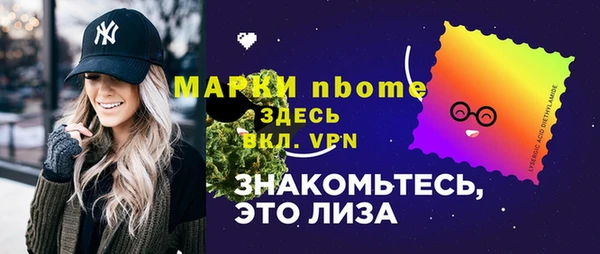 хмурый Семилуки