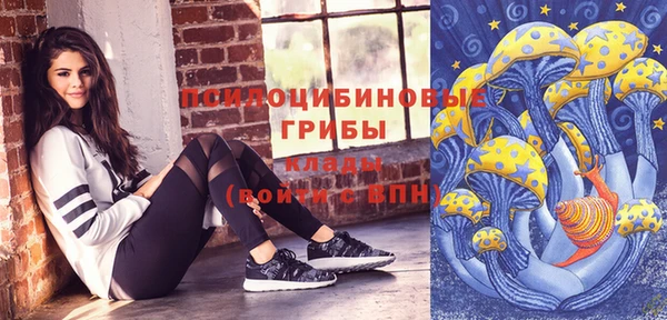 экстази Бородино