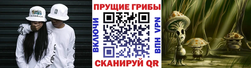 Псилоцибиновые грибы Magic Shrooms  Елизово 